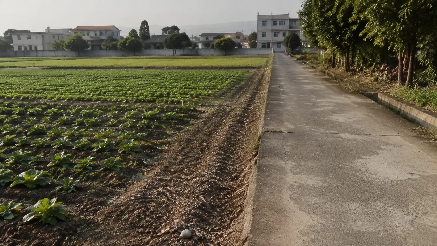 農地收到地價稅單怎麼辦？凌子楚行腳第58天聯合會勘案例